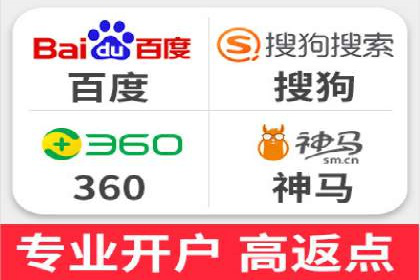 顶级SEM服务公司案例解析